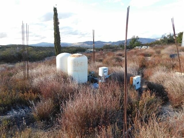 Primary Photo Of 34679 Old Highway 80, Pine Valley Land For Sale