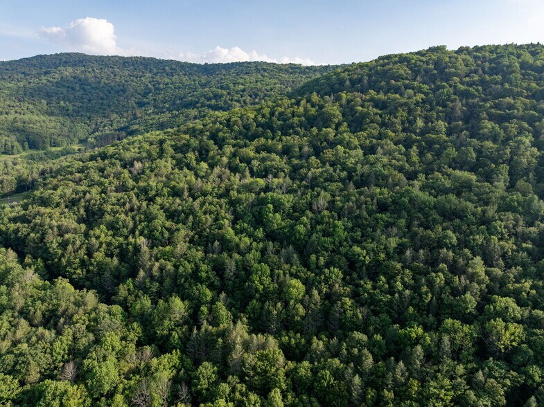 More Photos Of Broadchannel Road, Andes Land For Sale