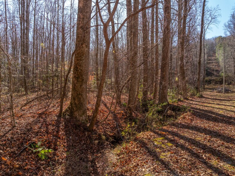 More Photos Of 00 Pittman Rd, Landrum Land For Sale