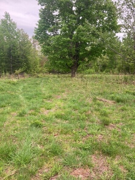 More Photos Of Wellington, Wellington Land For Lease