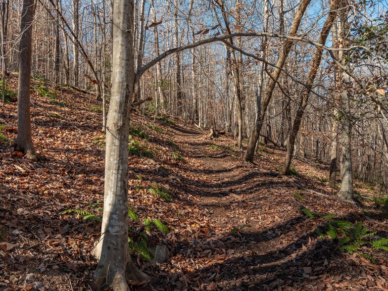 More Photos Of 00 Pittman Rd, Landrum Land For Sale