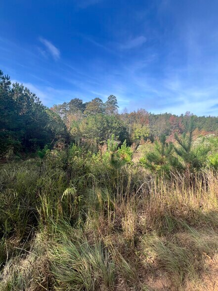 More Photos Of 0 St. Lucia Sunrise, Conyers Land For Sale