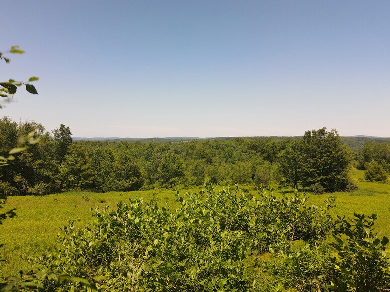 More Photos Of 1 Snow Hill Rd, Parksville Land For Sale