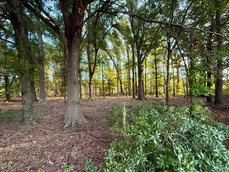 More Photos Of 1211 VZ County 4418 Rd, Canton Specialty For Sale