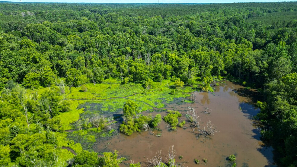 More Photos Of NPA, Abbeville Land For Sale