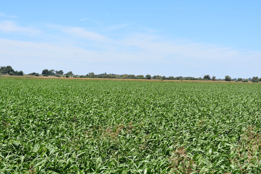 More Photos Of 16637 Tyler Island Rd, Isleton Land For Sale