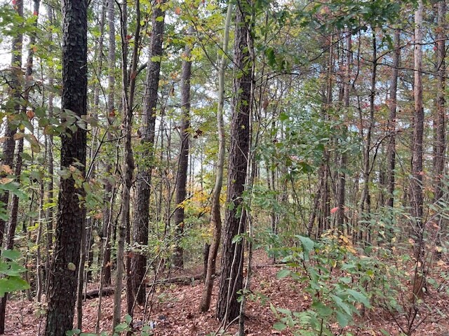 More Photos Of 100 Valley View Farm Rd SW, Cartersville Land For Sale