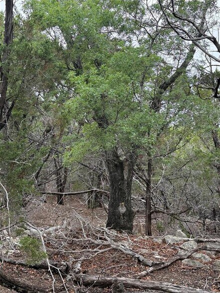More Photos Of 0000 Lakehurst Rd, Spicewood Land For Sale