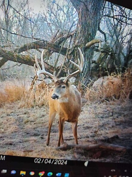 More Photos Of N3739 Bear Pen Rd, Arkansaw Land For Sale