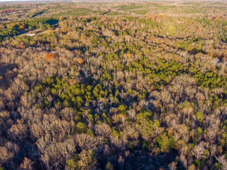 More Photos Of 0 Marshall Tucker Rd, Pauline Land For Sale