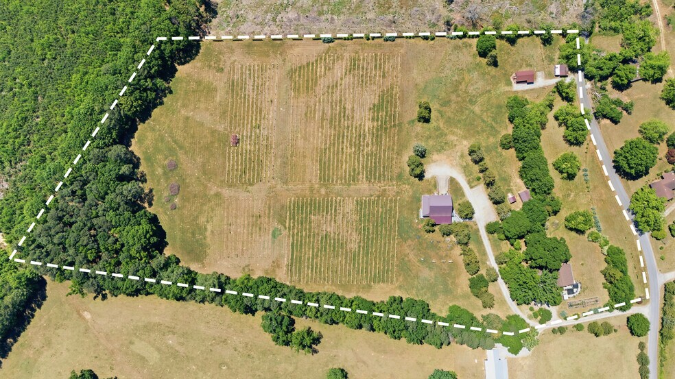 More Photos Of 1650 Dusty Rd, Newberry Winery Vineyard For Sale