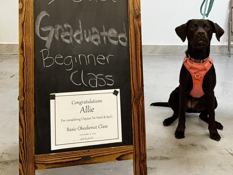 More Photos Of ,  Healthcare For Sale