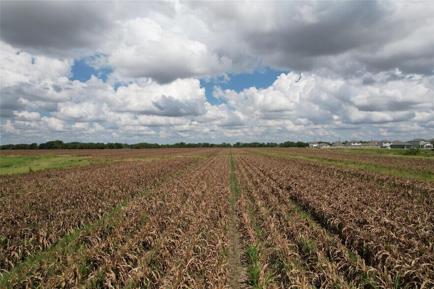 More Photos Of TBD FM 361 Road, Richmond Land For Sale