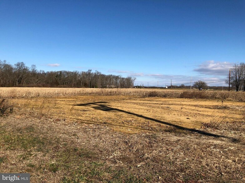 Primary Photo Of 1444 Harding Hwy, Newfield Land For Sale