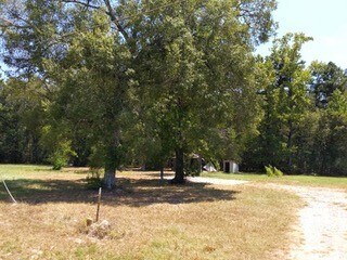 More Photos Of 26664 FM 1485 Rd, New Caney Land For Sale