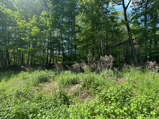 More Photos Of 55 Depot Pl, Unionville Land For Sale