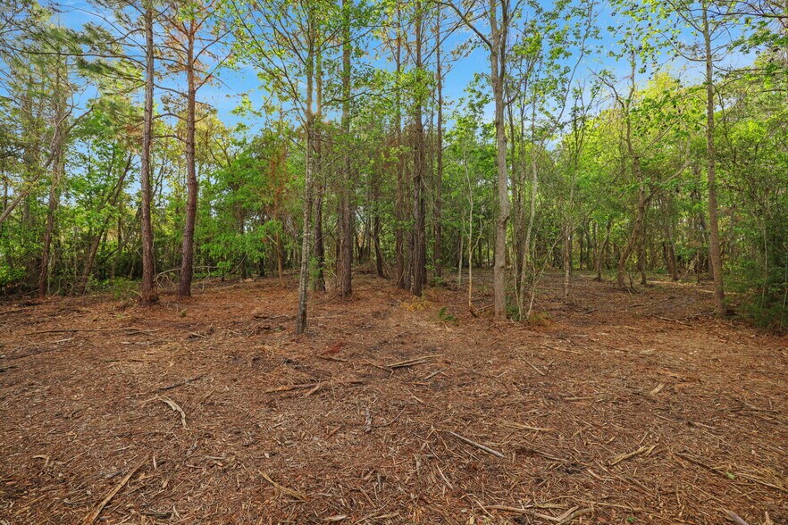 More Photos Of 1133 Girvin Rd, Jacksonville Land For Sale