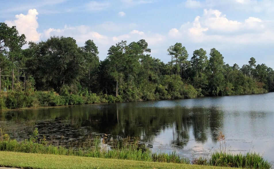 More Photos Of 1111 Hwy 297A, Cantonment Land For Sale