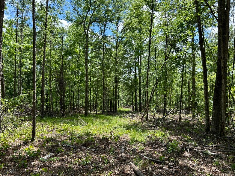 More Photos Of 2700 N Columbia St, Milledgeville Land For Sale