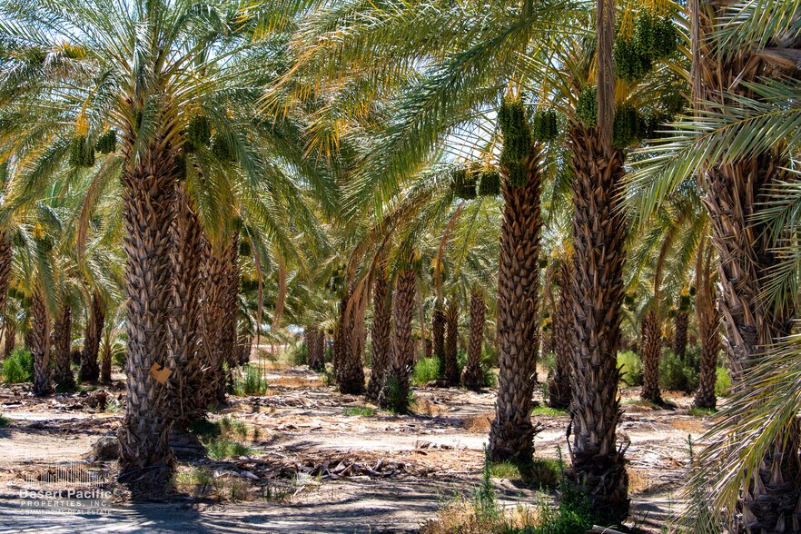 More Photos Of Ave 76 & Expwy 86, Thermal Land For Sale