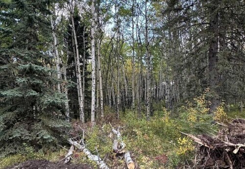 More Photos Of 52 Elkstone Way, Rural Rocky View County Land For Sale
