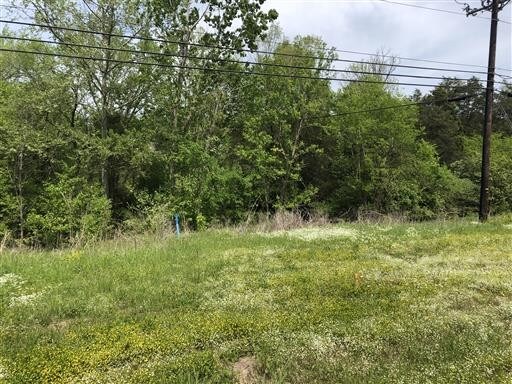 More Photos Of Lebanon Rd @ S. Cairo Bend, Lebanon Land For Sale