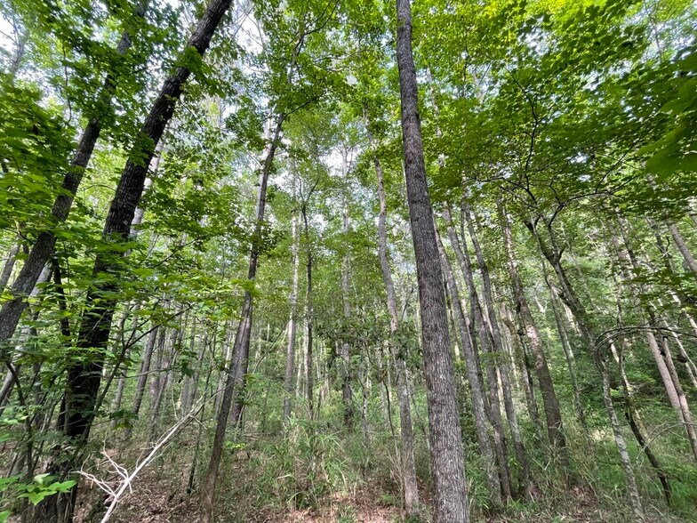 More Photos Of 229 Colbert Bridge Road, Windsor Land For Sale