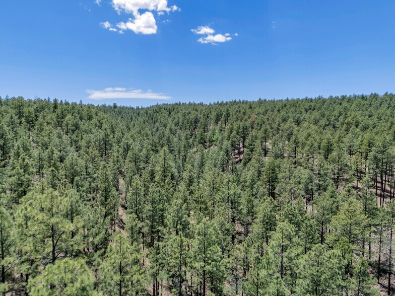 More Photos Of 2251 Kramer St, Flagstaff Land For Sale