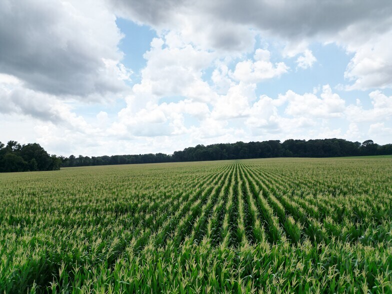 More Photos Of 00 Hwy 45 N, Jackson Land For Sale