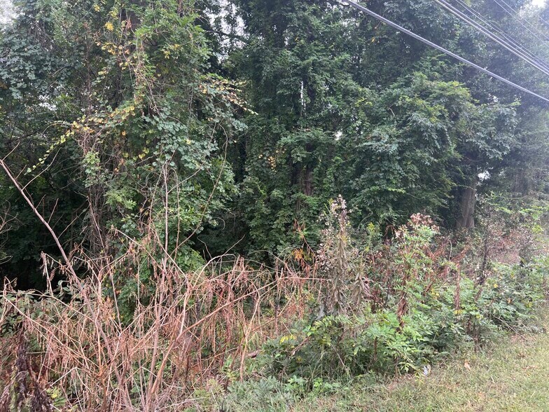 More Photos Of 168 Petersville Ln, Brunswick Land For Sale