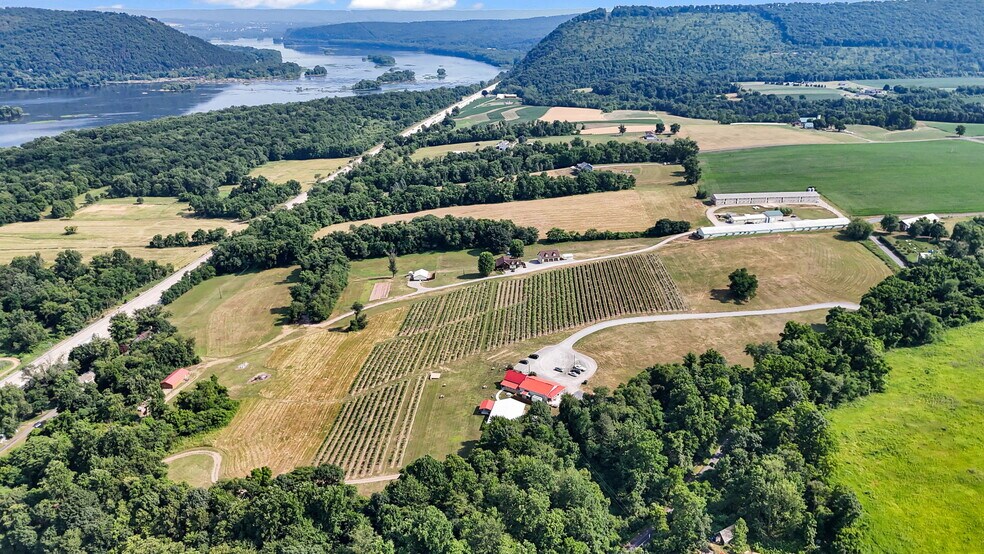 More Photos Of 3 Orchard Rd, Liverpool Winery Vineyard For Sale