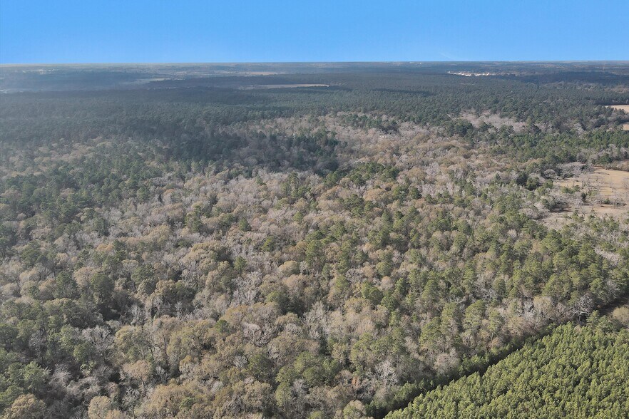 More Photos Of 215 FM 2929 Rd, Huntsville Land For Sale