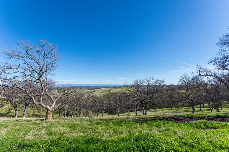 Primary Photo Of McAuliffe Rd, Igo Land For Sale