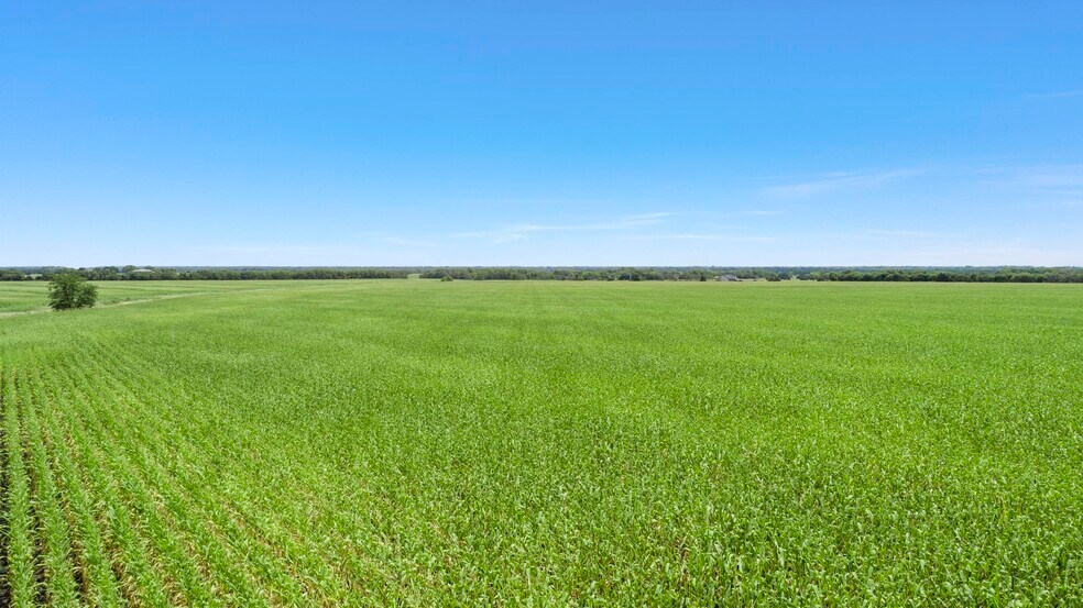 More Photos Of CR-1067, Greenville Land For Sale
