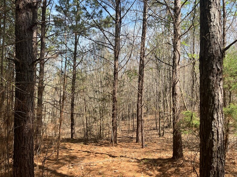 Primary Photo Of 16 Unbridled Rd SE, Rome Land For Sale