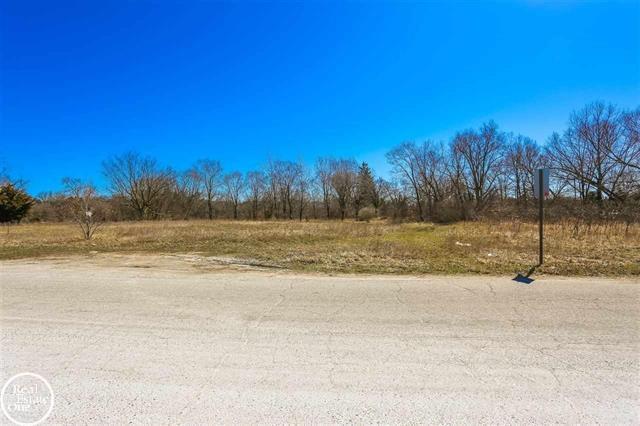 More Photos Of Meadowlawn Dr, Fort Gratiot Township Land For Sale
