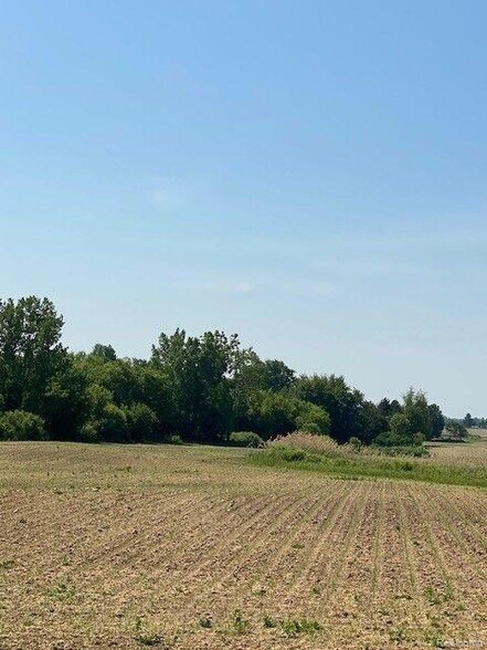 More Photos Of 7451 Fostoria rd, Mayville Land For Sale