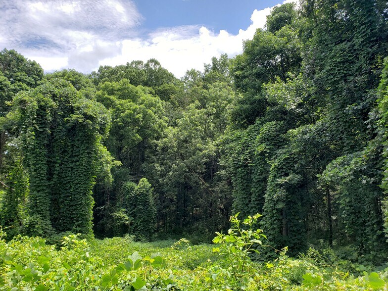 More Photos Of 548 Caribou Rd, Asheville Land For Sale