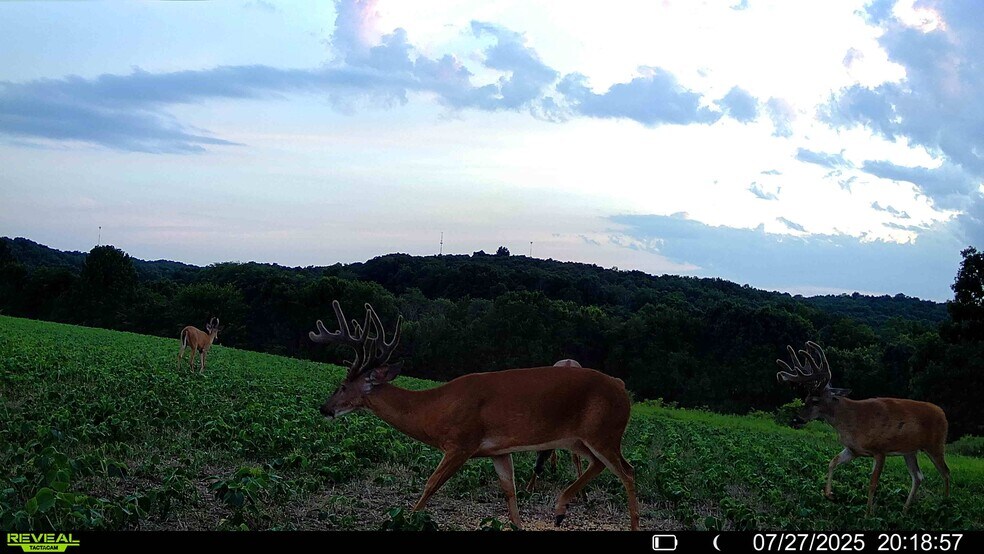 More Photos Of Highway D (77.2+/- Acres) Tract 1, Eolia Land For Sale