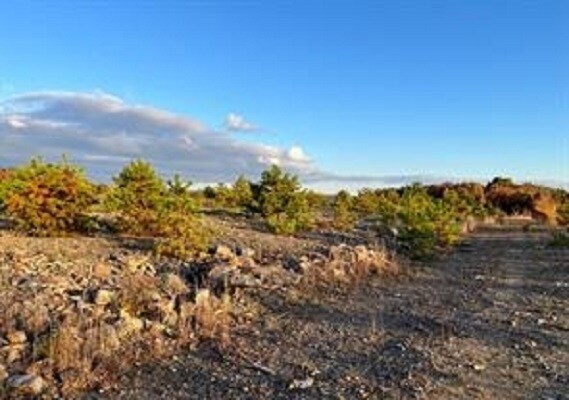 More Photos Of Claremont Ave, Tamaqua Land For Sale