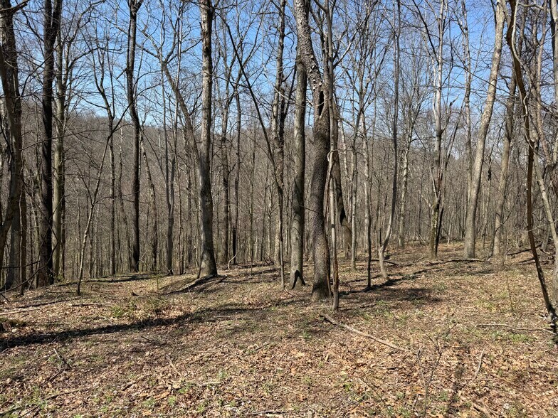 More Photos Of 0 Kragel Rd, Wintersville Land For Sale