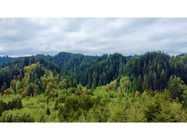 More Photos Of 18-10-00-00-01300500, Mapleton Land For Sale