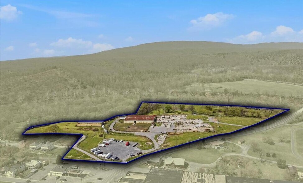 Primary Photo Of 86 Henry W Miller Blvd, Paw Paw Land For Sale
