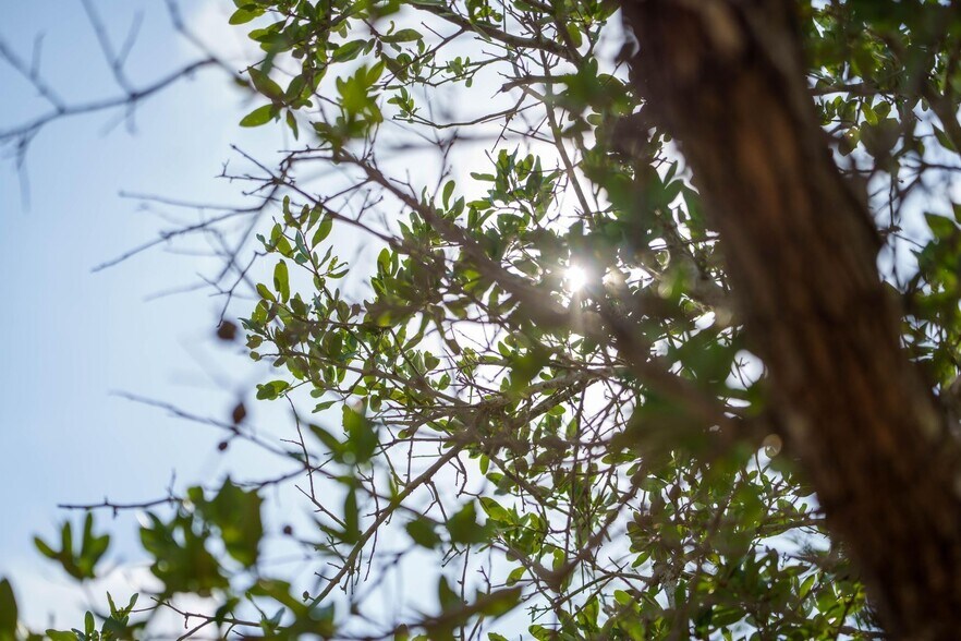 More Photos Of 704 South Highway 35 Byp, Rockport Land For Sale