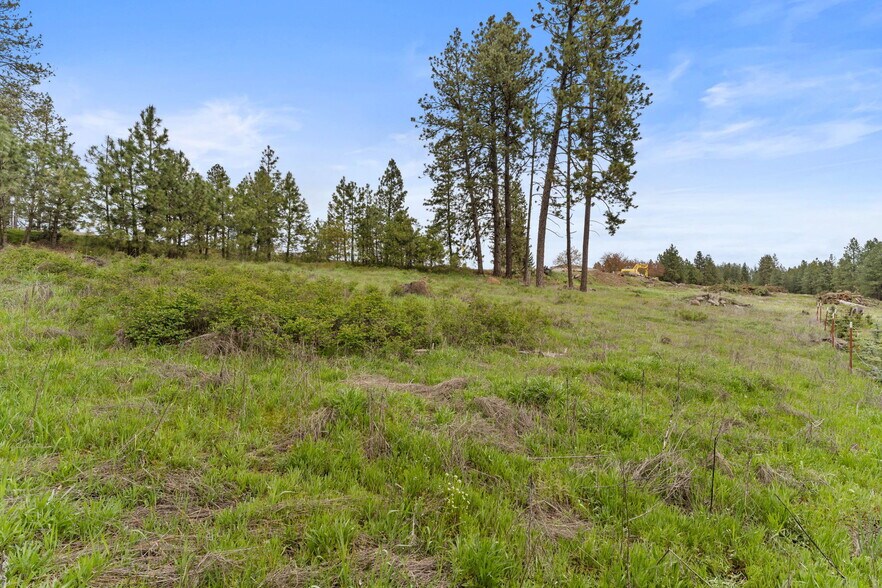 More Photos Of Hwy 904, Cheney Land For Sale