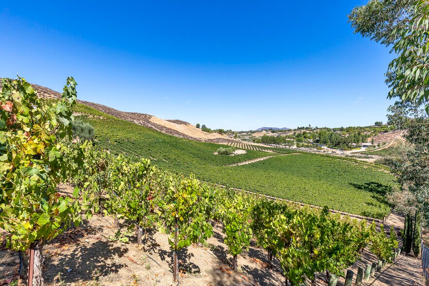 More Photos Of 36522 Via Verde, Temecula Winery Vineyard For Sale