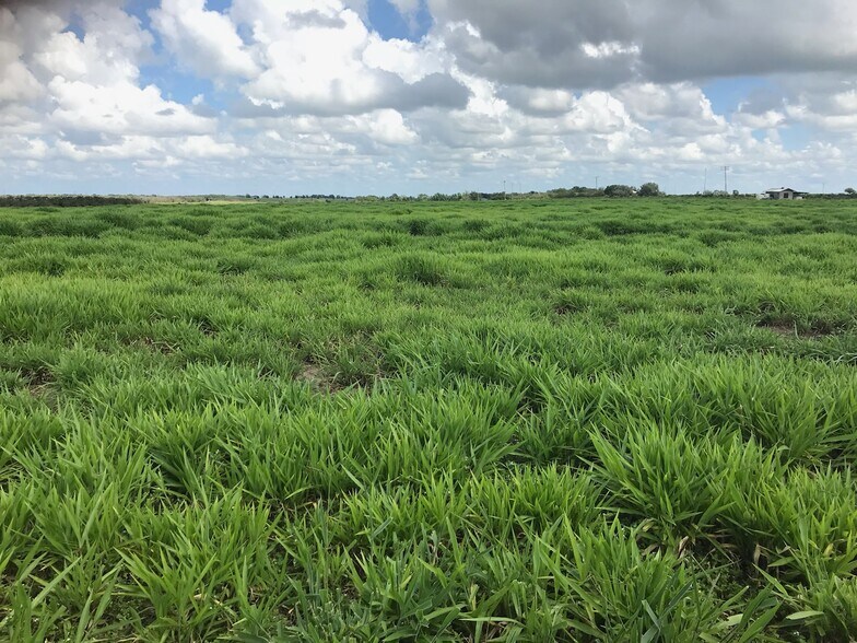 More Photos Of 00 MARSHAL ROAD, Bartow Land For Sale