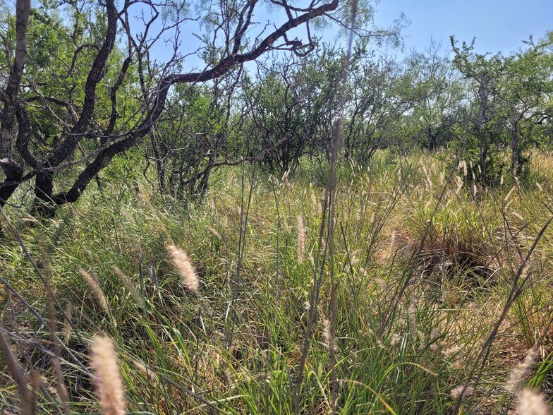 More Photos Of , Laredo Land For Sale