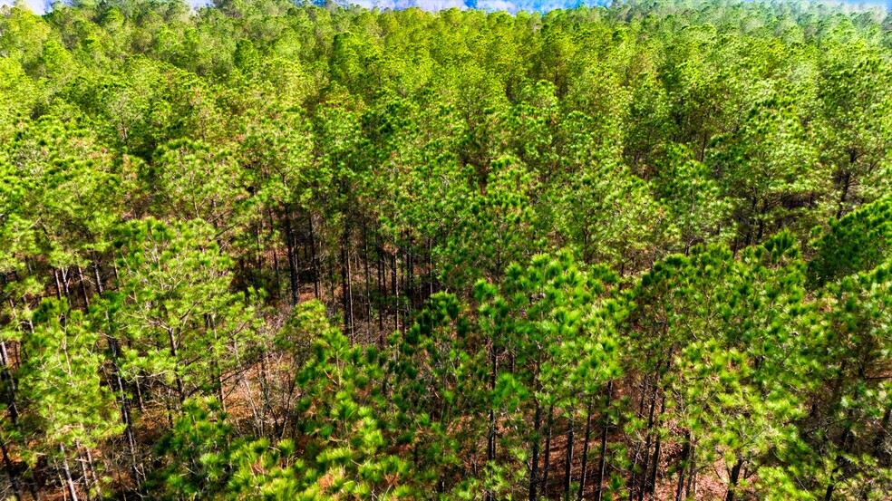 More Photos Of Highway 45, Loris Land For Sale