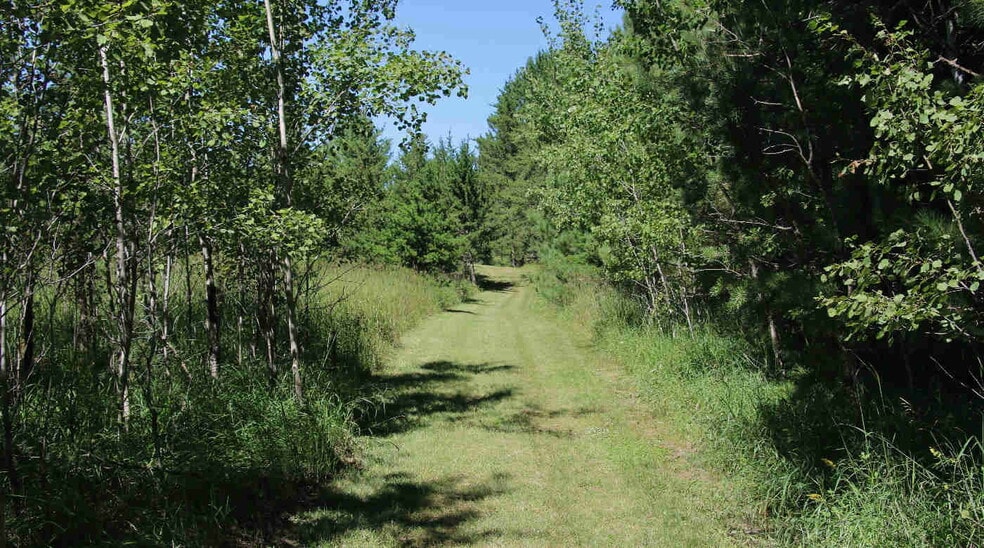 More Photos Of 19222 Echo Ridge Dr, Nevis Hotel For Sale